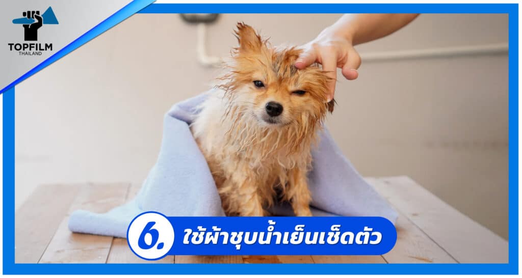 6. ใช้ผ้าชุบน้ำเย็น