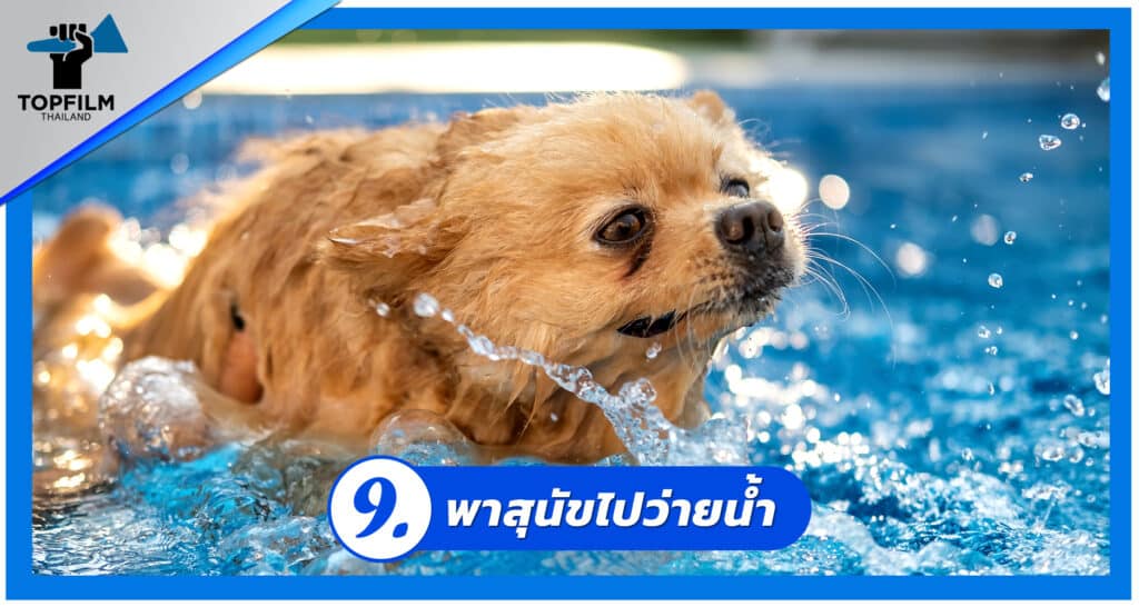 9. พาไปว่ายน้ำ