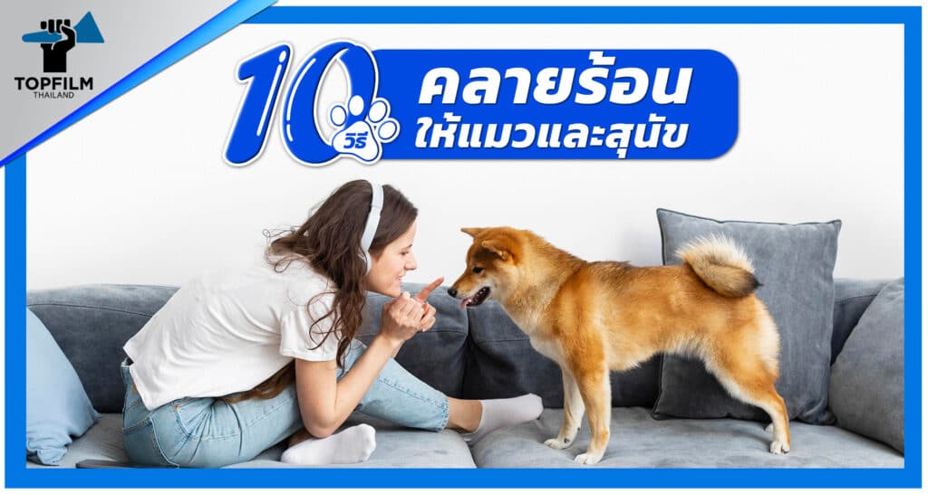 10 วิธีคล้ายร้อนให้แมวและสุนัข
